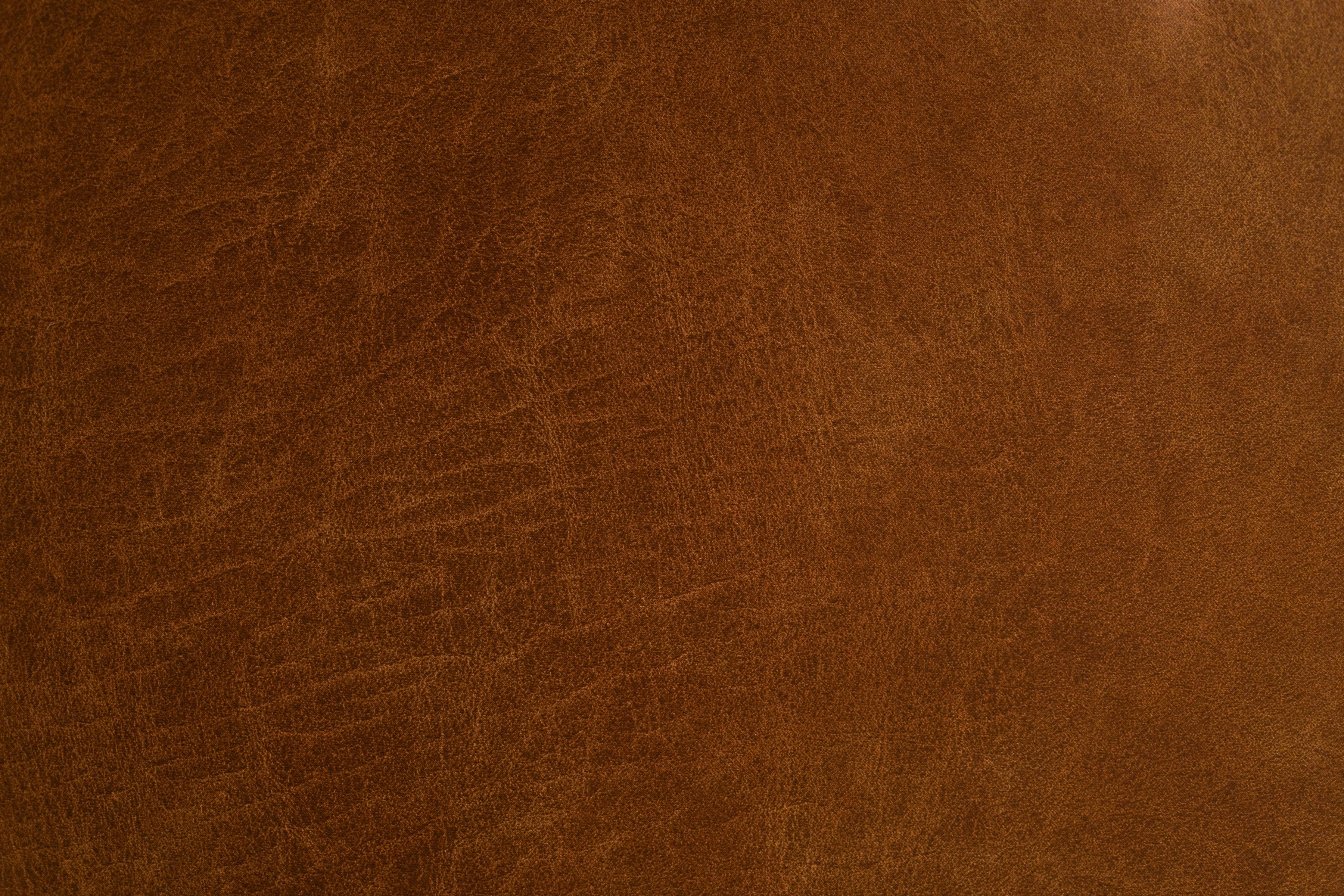 Colourlock Leather Conditioner